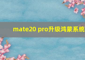 mate20 pro升级鸿蒙系统